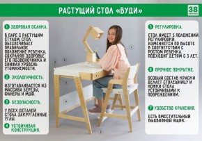 Комплект растущий стол и стул с чехлом 38 попугаев «Вуди» (Серый, Береза, Салют) в Москве - moskva.mebel-74.com | фото