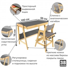 Комплект растущий стол и стул с чехлом 38 попугаев «Вуди» (Серый, Береза, Серый) в Москве - moskva.mebel-74.com | фото