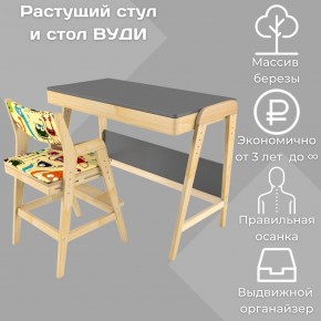 Комплект растущий стол и стул с чехлом 38 попугаев «Вуди» (Серый, Без покрытия, Монстры) в Москве - moskva.mebel-74.com | фото
